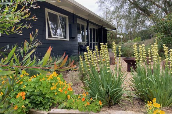 The Cottage